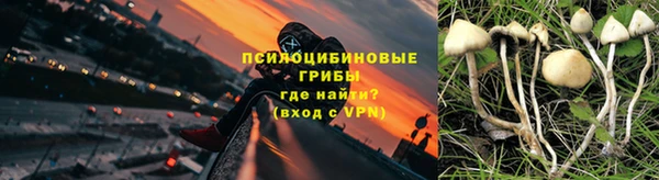 дурь Абинск