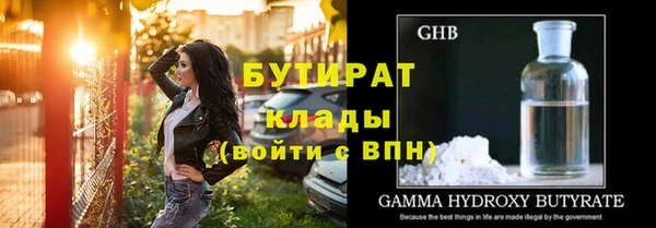 прущие грибы Абаза