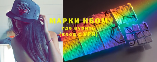 прущие грибы Абаза