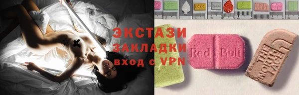прущие грибы Абаза