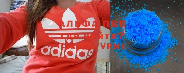 прущие грибы Абаза