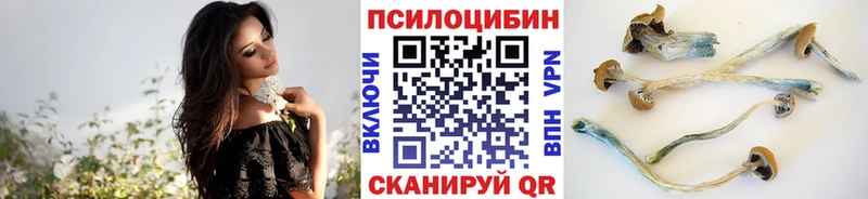 наркошоп  Ува  Псилоцибиновые грибы мухоморы 